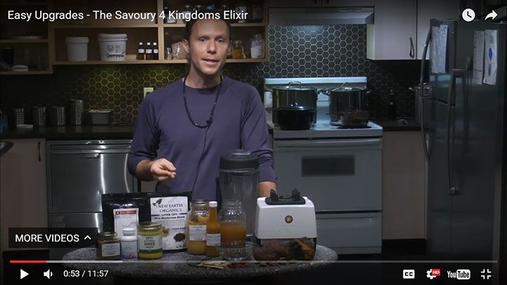 recipe 4-kingdoms-savory-elixir_Malcolm-Saunders